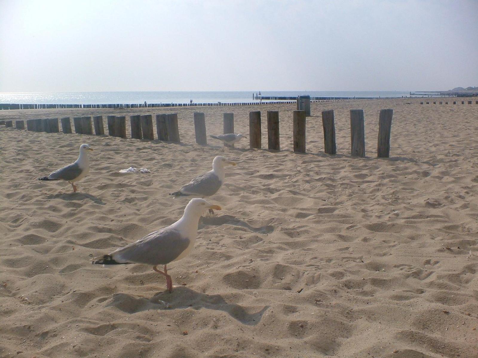 Vakantieverblijf Uit En Thuis Biggekerke Exterior foto